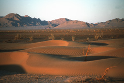 Weltweite Expeditionsreisen, Reisen mit Expeditionscharakter weltweit - Iran - Sandwste in der Abenddmmerung